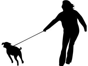 dog-behavior-modification-300×225