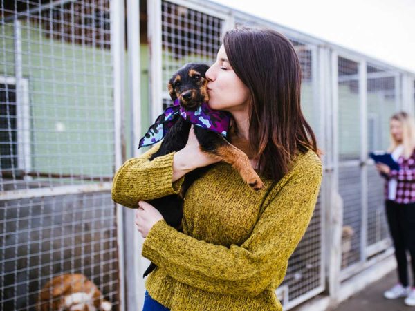 Adopt Long Island Shelter Rescue