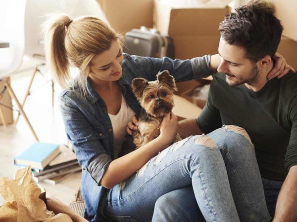 Buying A New Dog Questions Answers