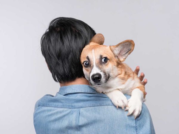 Canine Separation Anxiety Scared Dog
