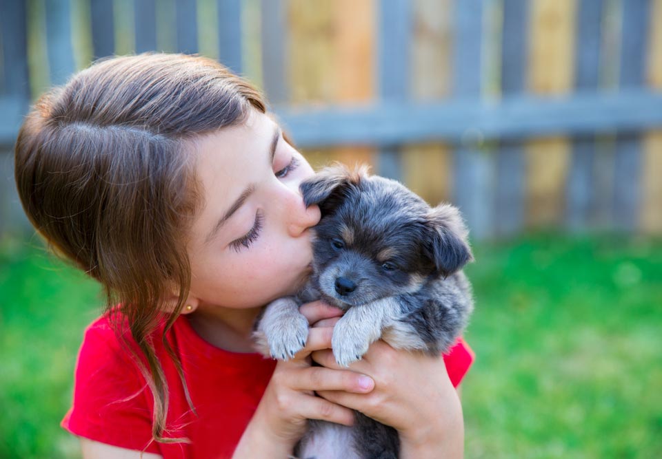 Canine Training Center Pre Puppy Consultations