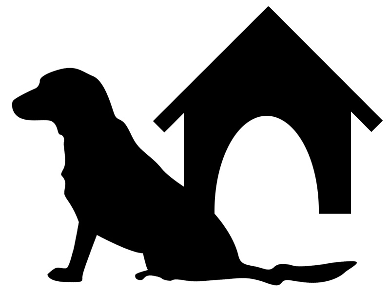 Dog Boarding dog boarding
