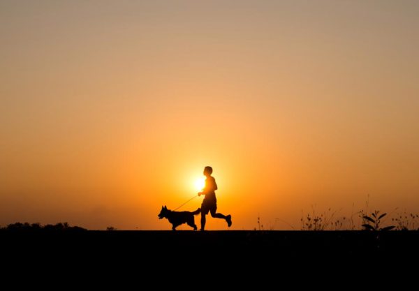 Furry Running Partner Canine Training Center