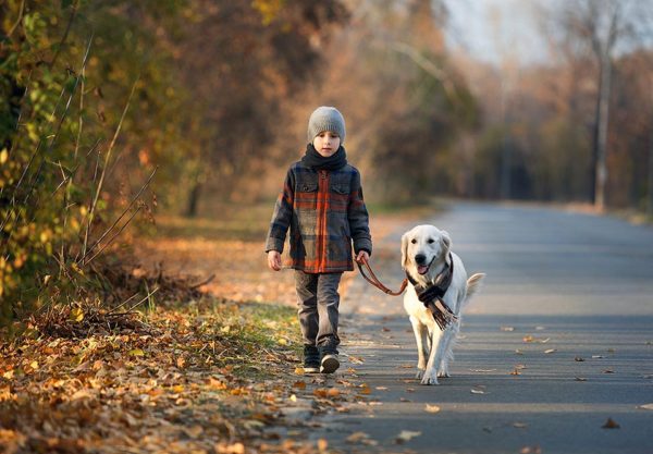 Girl Walking Dog Safety Training