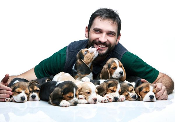 Group of Puppies Pre-purchase Puppy Consultation