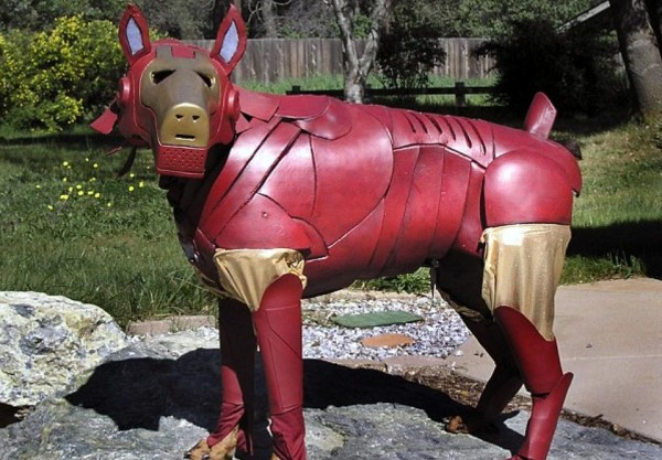 Iron Man Dog Suit
