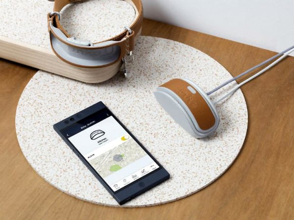 Link Collar With App