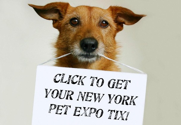 Pet Expo 2015