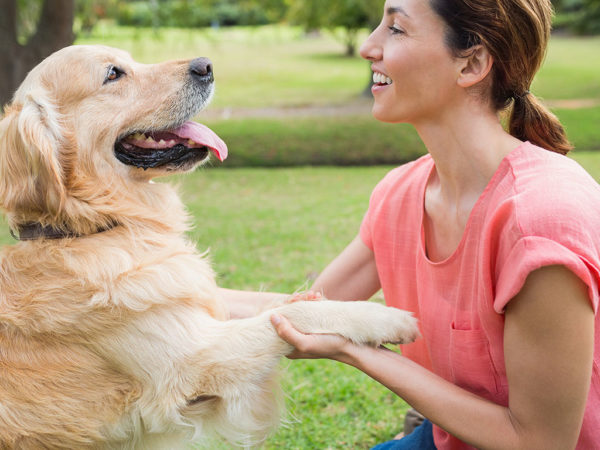 Plainview Dog Training Happy Dog