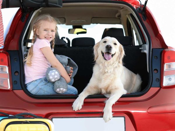 Road Tripping With Your Dog